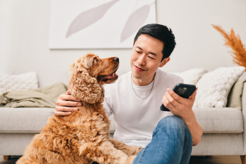 Henkilö käyttämässä pankin digipalveluita samalla koiraa silittäen.